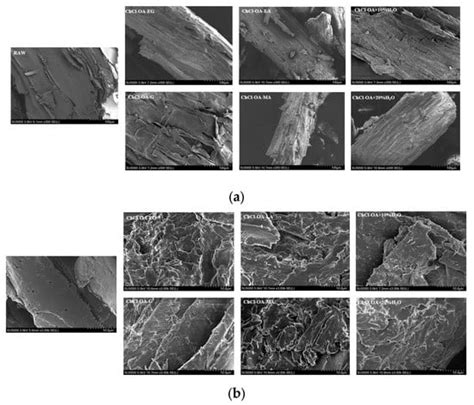 Effect of Ternary Deep Eutectic Solvents on Bagasse Cellulose and ...
