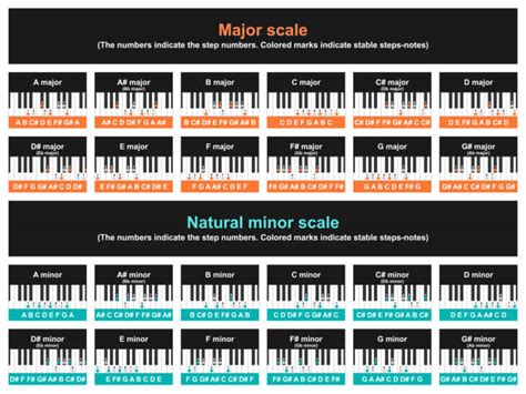 Image result for Musical Scale Notes
