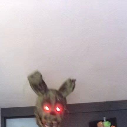 Image result for Spring Trap Sturdy