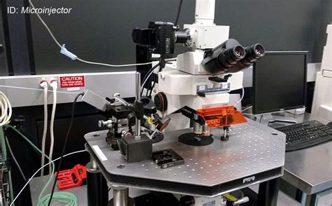 Image result for Lab Walkthrough