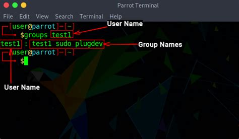 Add User to Group in Linux 的图像结果