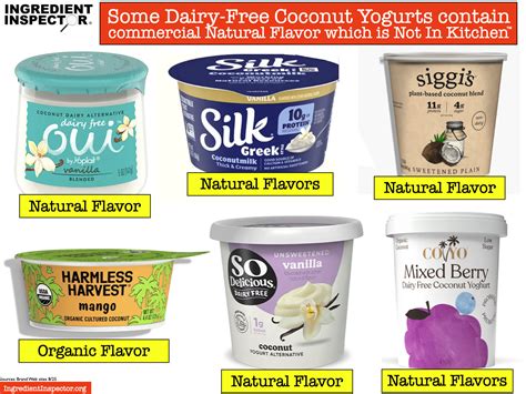 WHICH DAIRY-FREE COCONUT YOGURTS ARE CLOSEST TO HOMEMADE? — Ingredient ...
