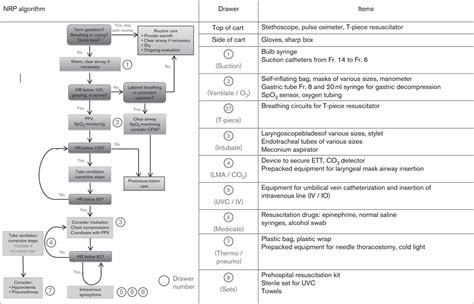Image result for Neonatal Resuscitation Algorithm