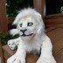 Image result for Lion Stuffed Animal