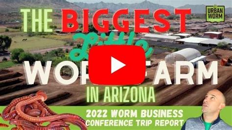 Commercial Worm Production 的图像结果