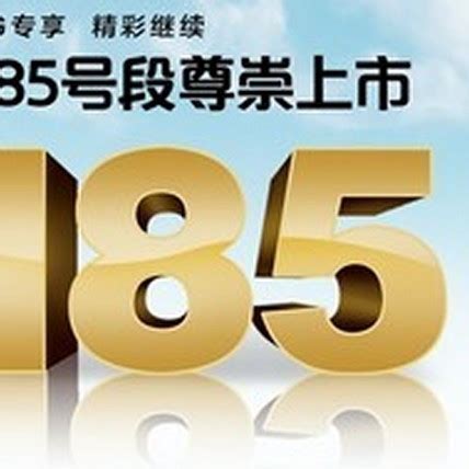 [图文]中国联通 推出156号段-中国质量新闻网