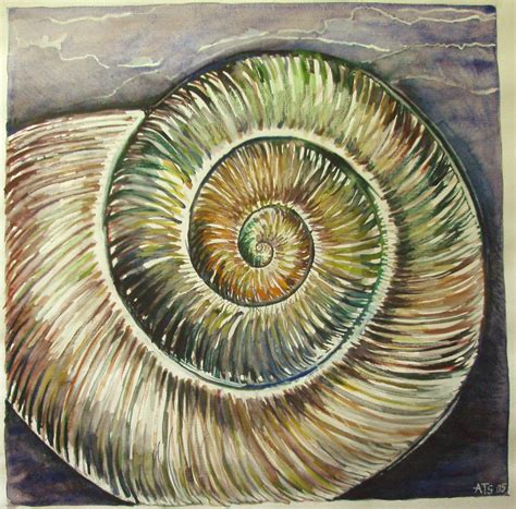 Image result for Snail Shell Simple Drawing