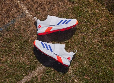 Pro:Direct Cricket | Cricket Equipment | Cricket Bats, Shoes & Cricket ...