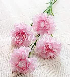 99 Pcs Seeds Carnation Balcony Indoor Courtyard Garden Seeds Dianthus ...