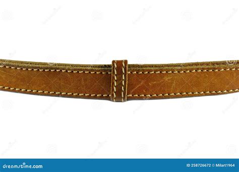 Brown Leather Belt Isolated. Stock Photo - Image of persona, elegant ...