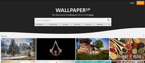 《Wallpaper Engine》动态壁纸推荐（二）-社区大别野-米游社