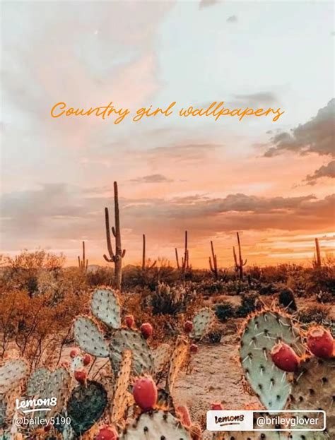 Country Aesthetic Wallpaper 的图像结果