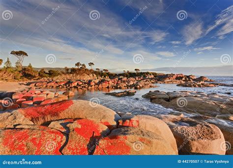 Tasmania Bay of Fires Red Rocks Stock Image - Image of remote ...