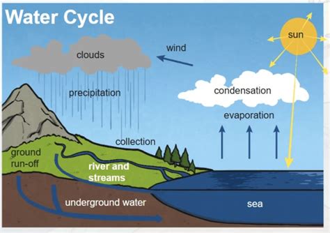 Condensation Process Explained 的图像结果