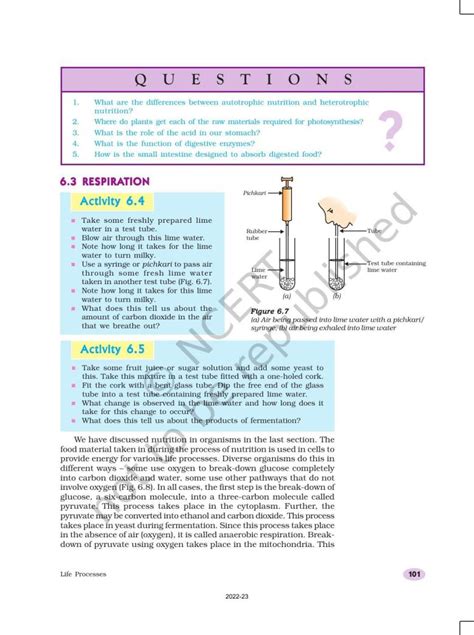 Class 10 Science Chapter 6 All Processes 的图像结果