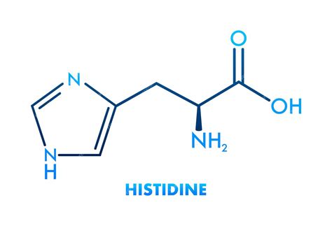 Histidine Amino Acid Structure