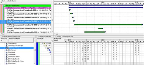 Image result for Resource Loading P6