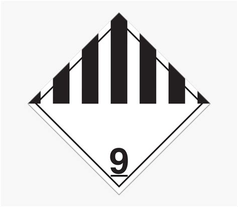 Image result for Class 9 Un Example