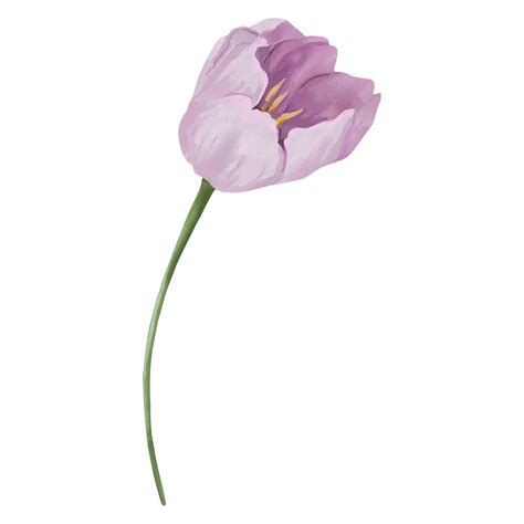 Premium Vector | A flower with a green stem and a single flower with a ...