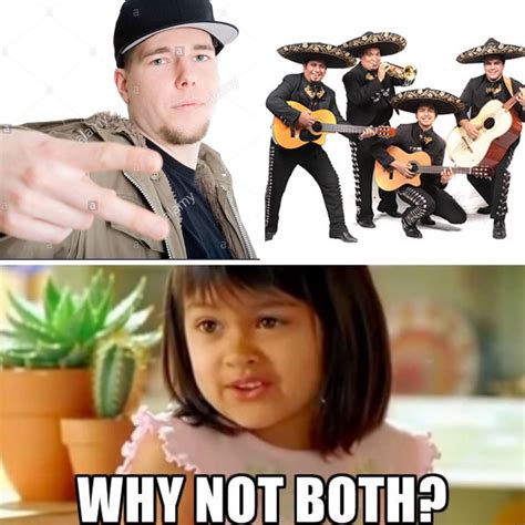 Why Not Both Meme