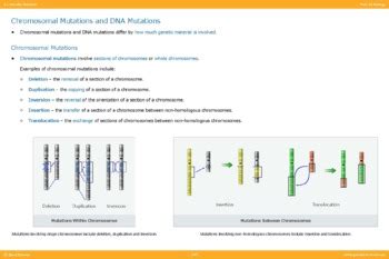Image result for Biology Ordinal Level Mutation Lesson