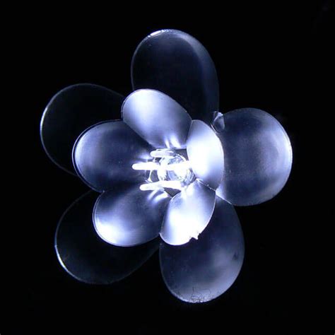 Image result for Novelty LED String Lights