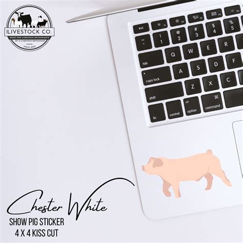 Show Pig Sticker, Chester White Sticker, Show Gilt Sticker, Show Pig ...