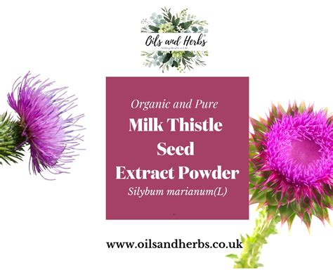 Organic Milk Thistle Powder -Silymarin 80%