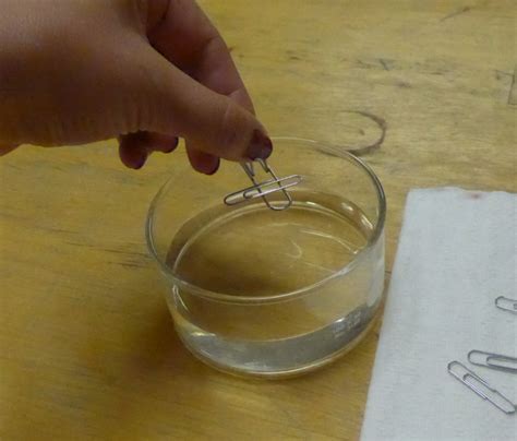 Image result for Paper Clip Experiment