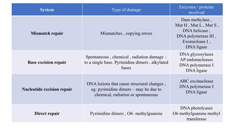 DNA repair mechanism - Brief description, causes and cure | PPTX