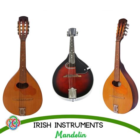 Image result for Irish Stringed Instruments