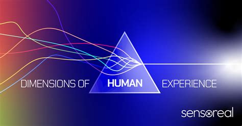 Unraveling the Dimensions of Human Experience