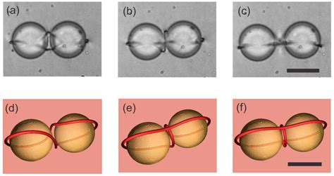 Nematic Liquid-Crystal Colloids