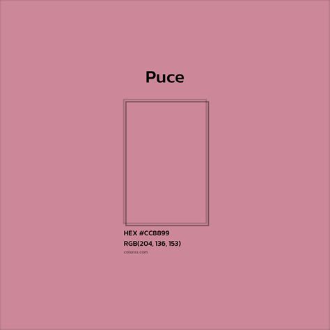 About Puce - Color codes and meaning | Matching colors and paints ...