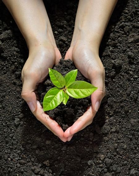 Home - Megha Agrotech