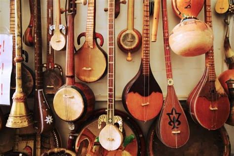 Image result for Special String Instruments