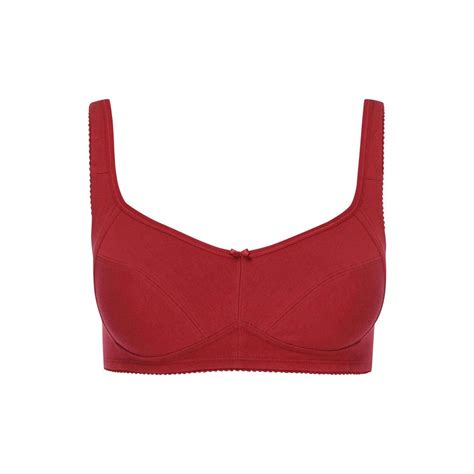 Buy Enamor Womens Solid Non Wired Non Padded Beginners Bra Pack of 2 ...