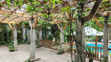 How to Personalize Your Pergola with Vines and Hanging Plants - Tampa ...