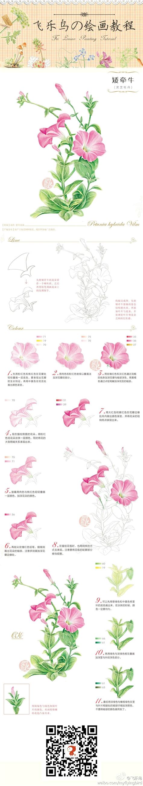 Duitang.com - 飞乐鸟. | 꽃 그리는 법, 수채화, 수채화 꽃