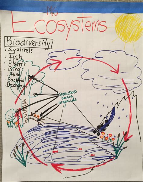 Free Science Lessons Ecosystem 的图像结果