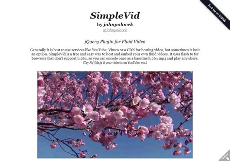 Image result for Background Video HTML/CSS