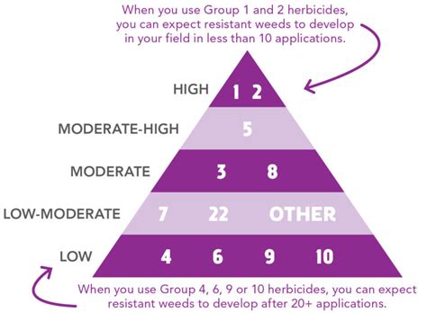 Iddsi Flow Test 的图像结果