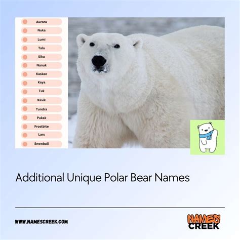 Comprehensive List Of 209 Polar Bear Names