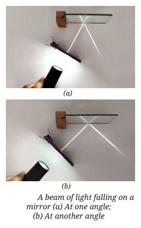 Light: Mirrors and Lenses Chapter Notes - Science Class 8 PDF Download