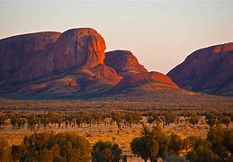 Image result for outback
