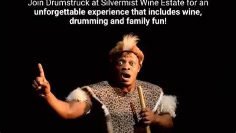 Cape Town: Silvermist Estate Wine Tasting & Drumstruck Show | Trip.com
