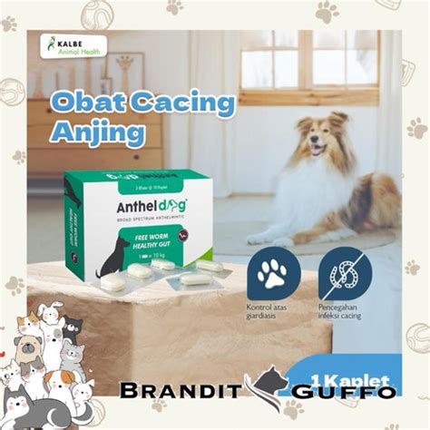 Jual Obat cacing Anthel dog 1 tablet anjing - Jakarta Barat ...