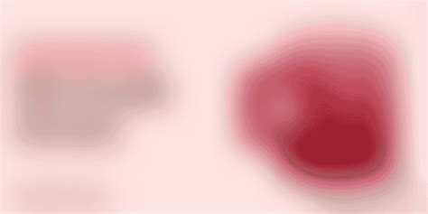 Image result for Microsoft Access Tutorial Beginners Video