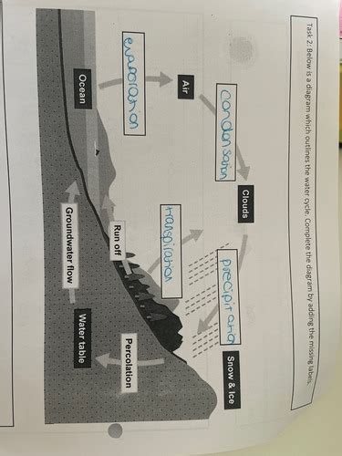 Ecosystem Cycle 的图像结果