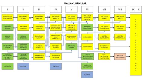 Portal del Programa de Estudios Enfermería
